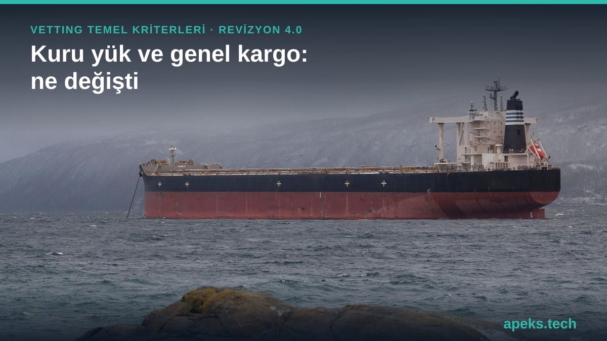 Karla kaplı bir kıyının açığında, gri ve rüzgârlı havada demirli büyük bir dökme yük gemisinin temsilî fotoğrafı; üzerinde "Vetting temel kriterleri, Revizyon 4.0: kuru yük ve genel kargo, ne değişti" başlığı. Gemi haberle ilgili değildir.